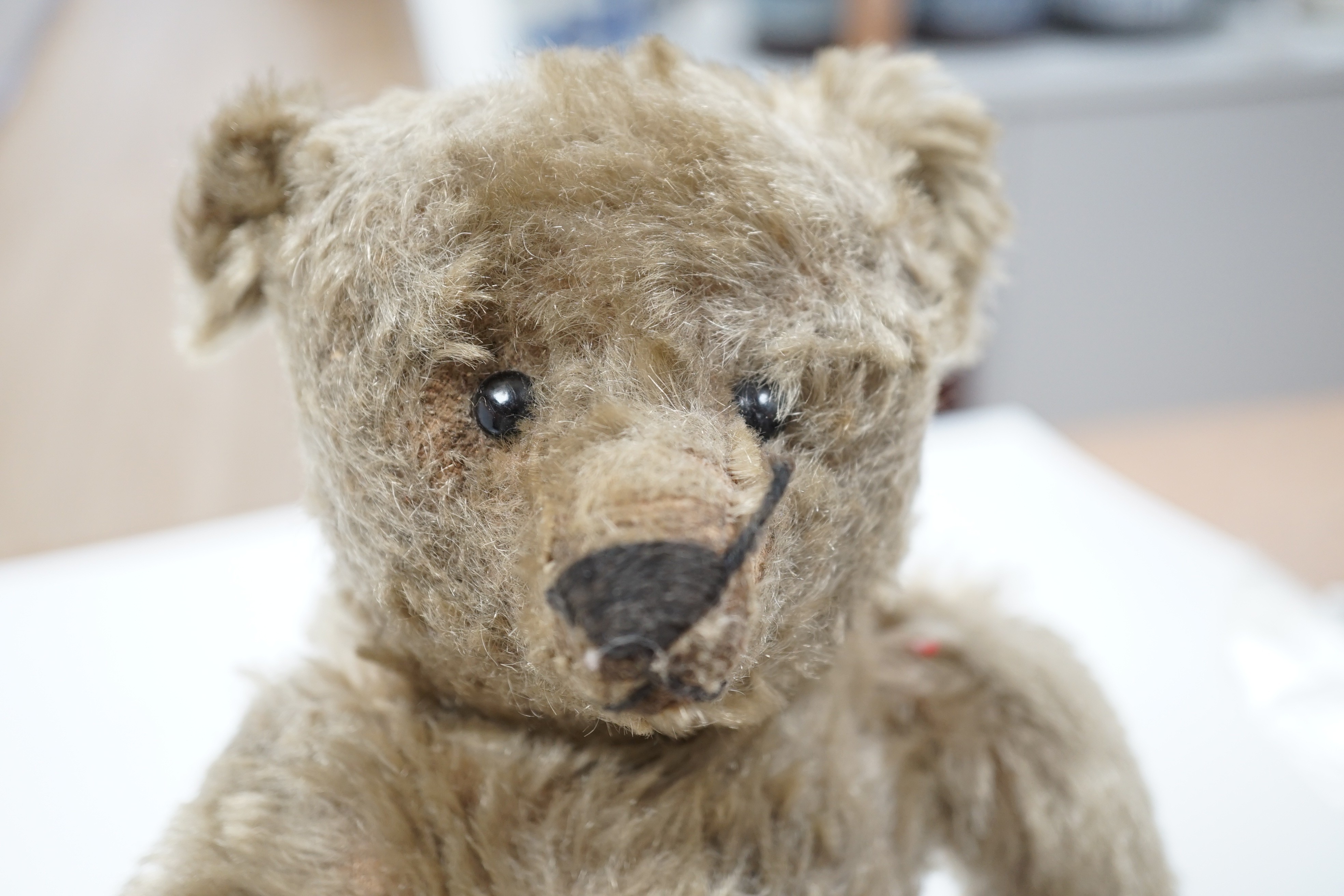 A Steiff teddy bear with button in ear, circa 1910, 35cm